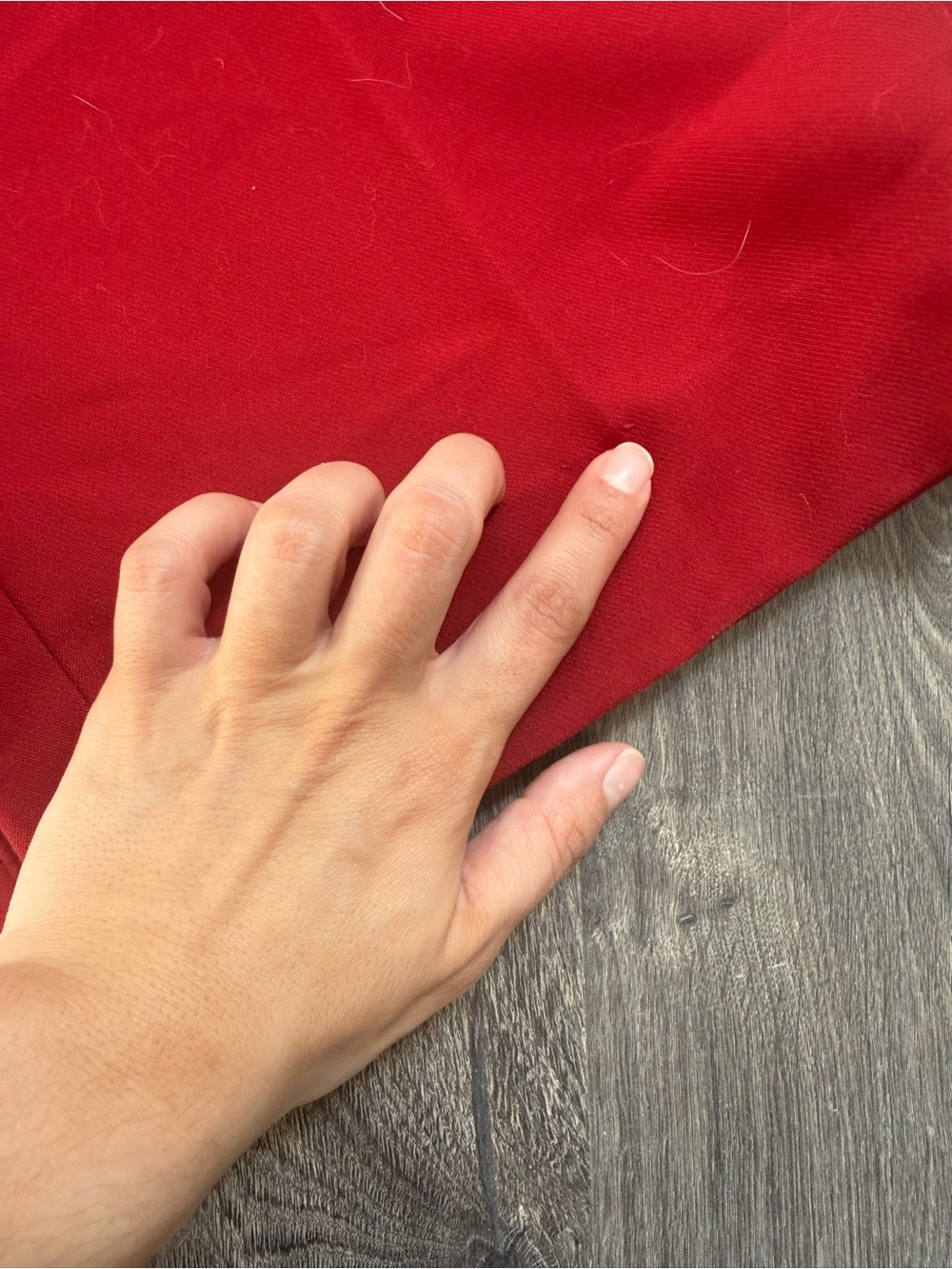 Abercrombie & Fitch RED Wide-Leg Pleated - Picture 5 of 5